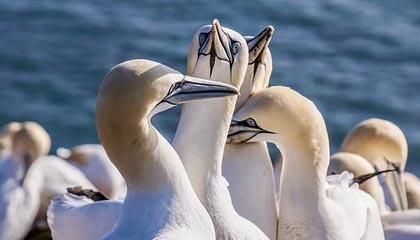 爱游戏app下载-英超冠军争夺：悬念激烈，精彩纷呈！，英超冠军分析