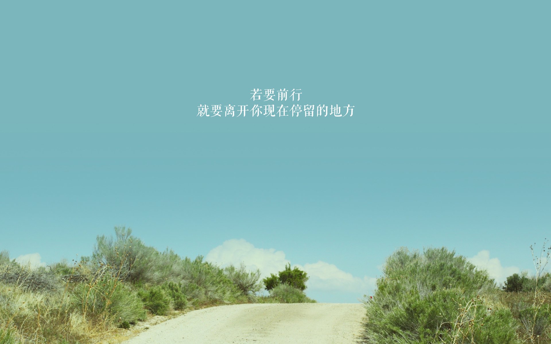 最令人难忘的比赛终点瞬间，最难忘的一场比赛作文500字