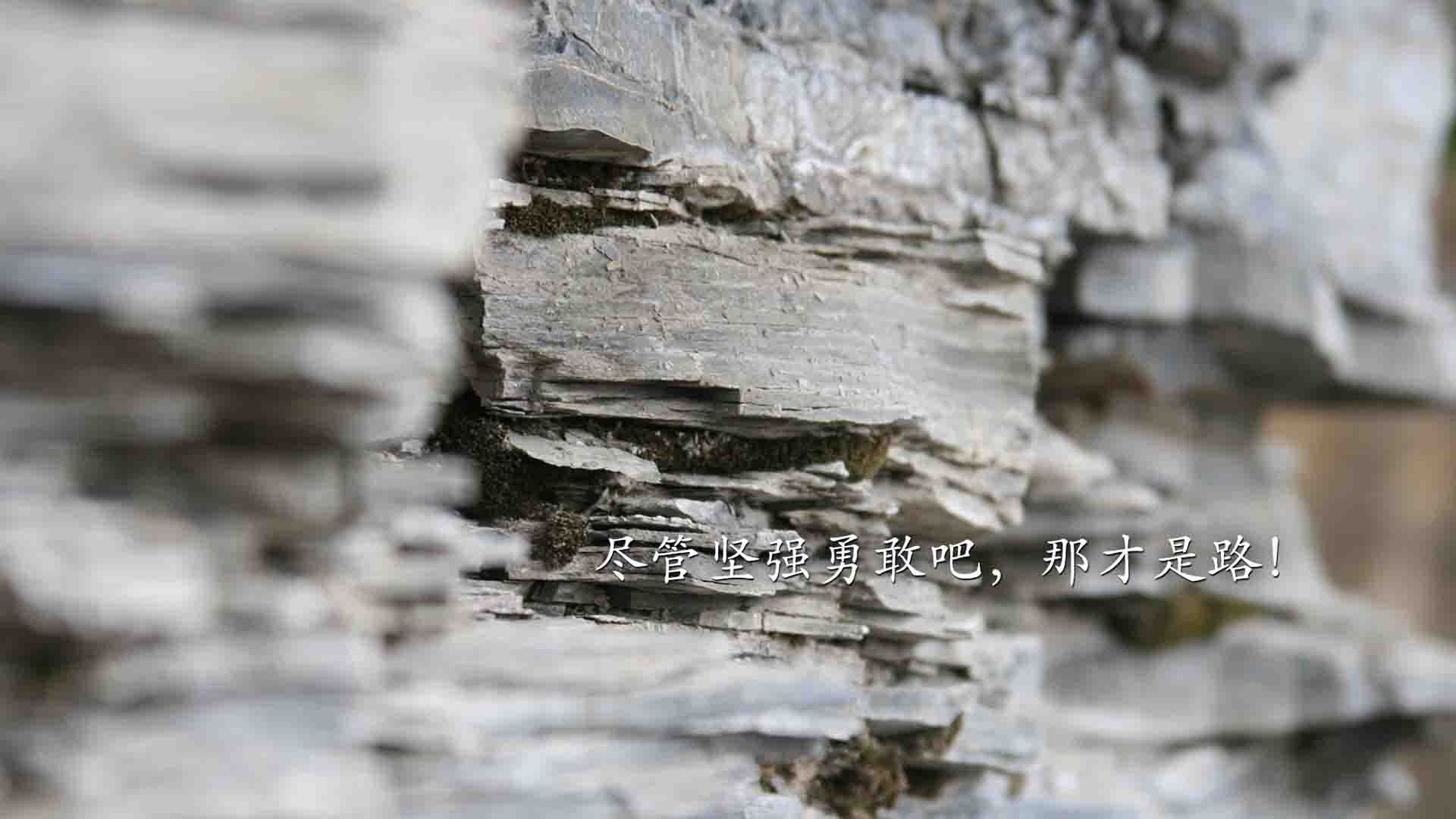 环保材料在赛车中的应用新进展，汽车环保材料在汽车上的使用前景