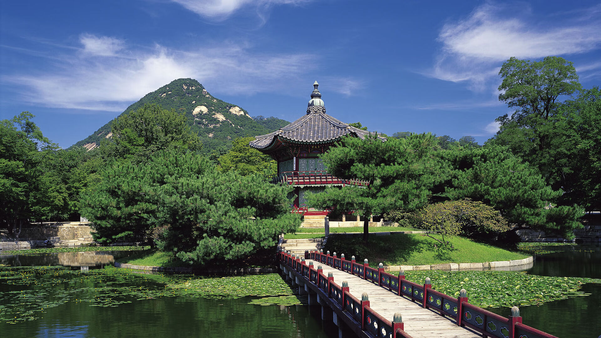 职业球员是否需参与社区足球活动促进普及,足球员需要具备的条件