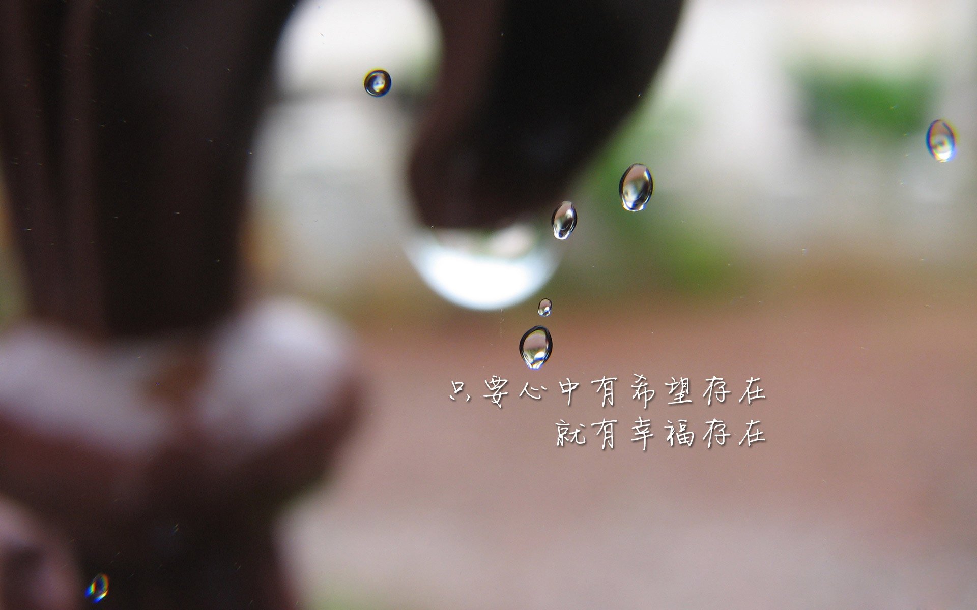 中国女篮全队默契度不断增强，中国女篮阵容分析
