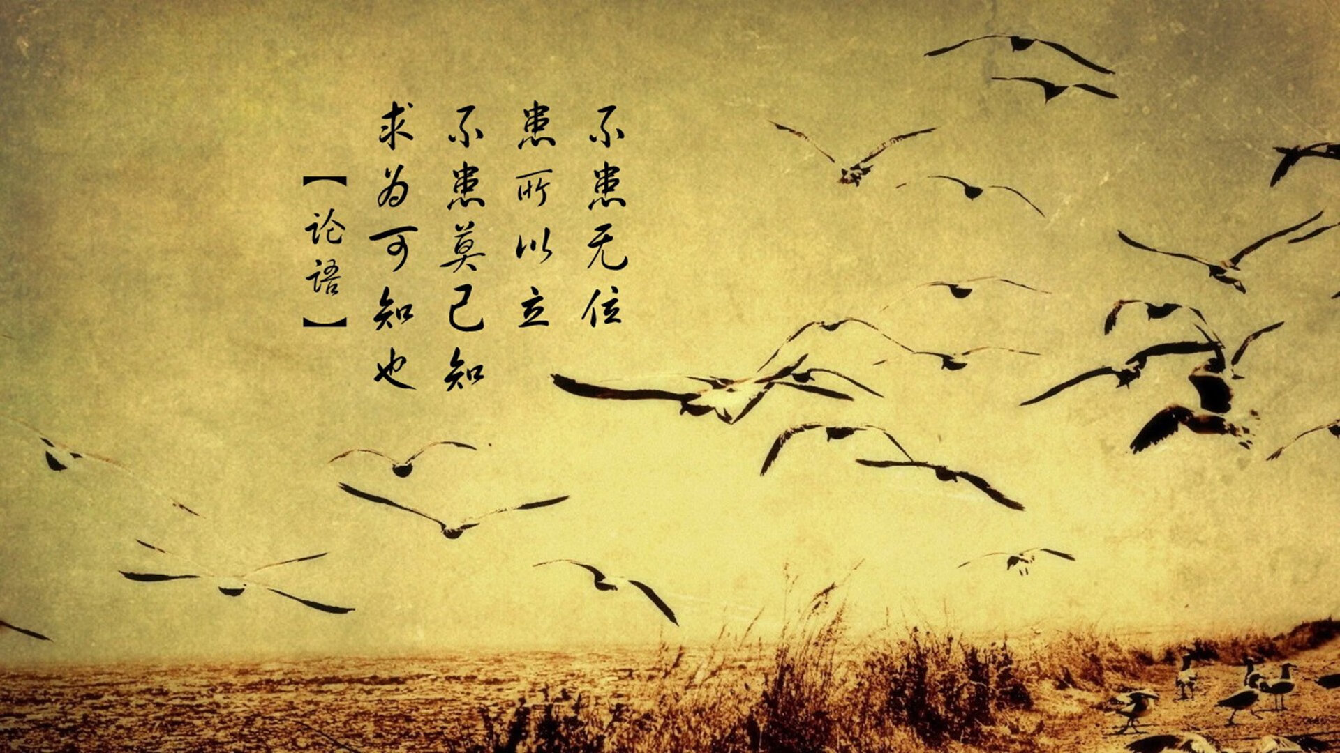 柯尔赞赛场风采尽显未来冠军潜质，柯尔嫚这个品牌怎么样