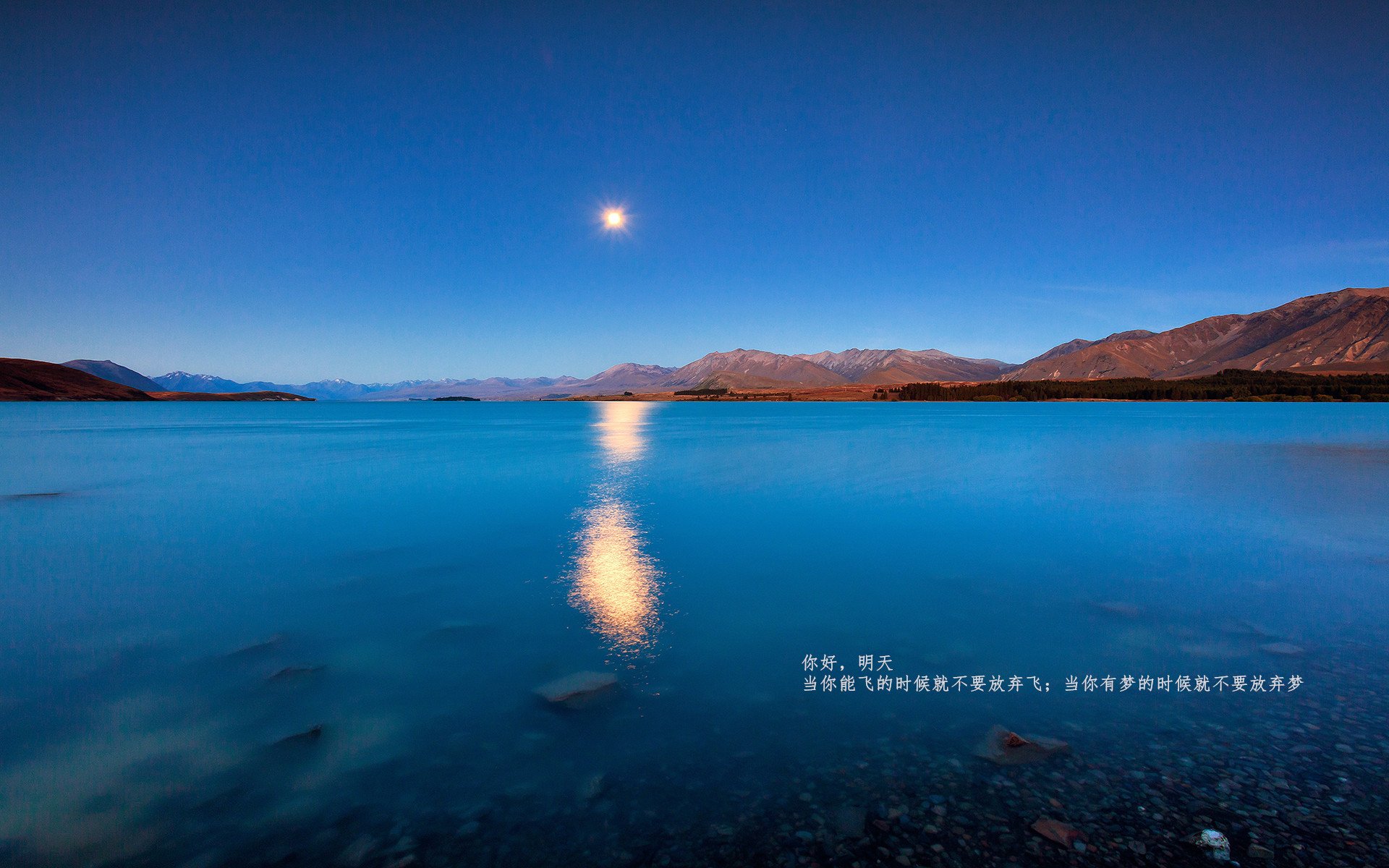 比利时男篮在欧洲预赛中拼搏不止，冲击奥运梦想，比利时男篮厉害吗