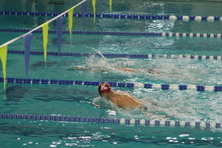 爱游戏在线登录入口-自由泳预赛突尼斯多人晋级，自由泳2021